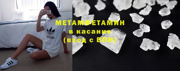 стафф Богданович