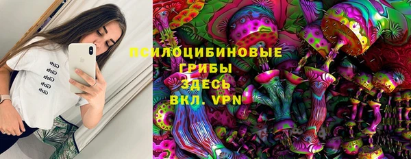 стафф Богданович