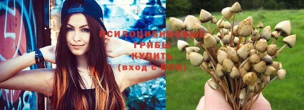 меф Богородицк