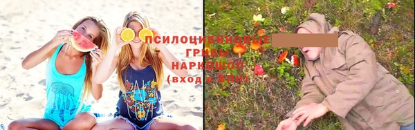 стафф Богданович