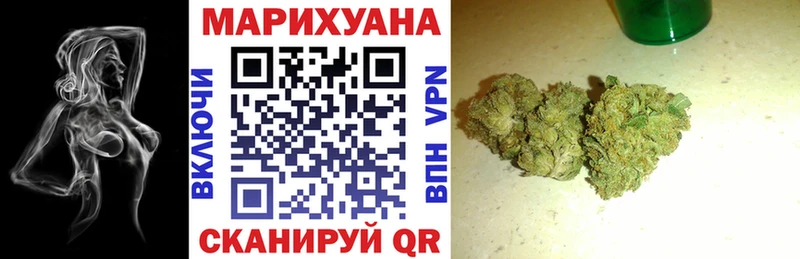 МЕГА ссылки  Электрогорск  Бошки марихуана индика 